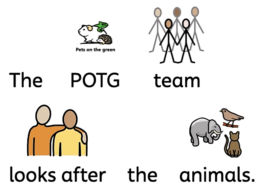 The Pets on the Green team looks after the animals.