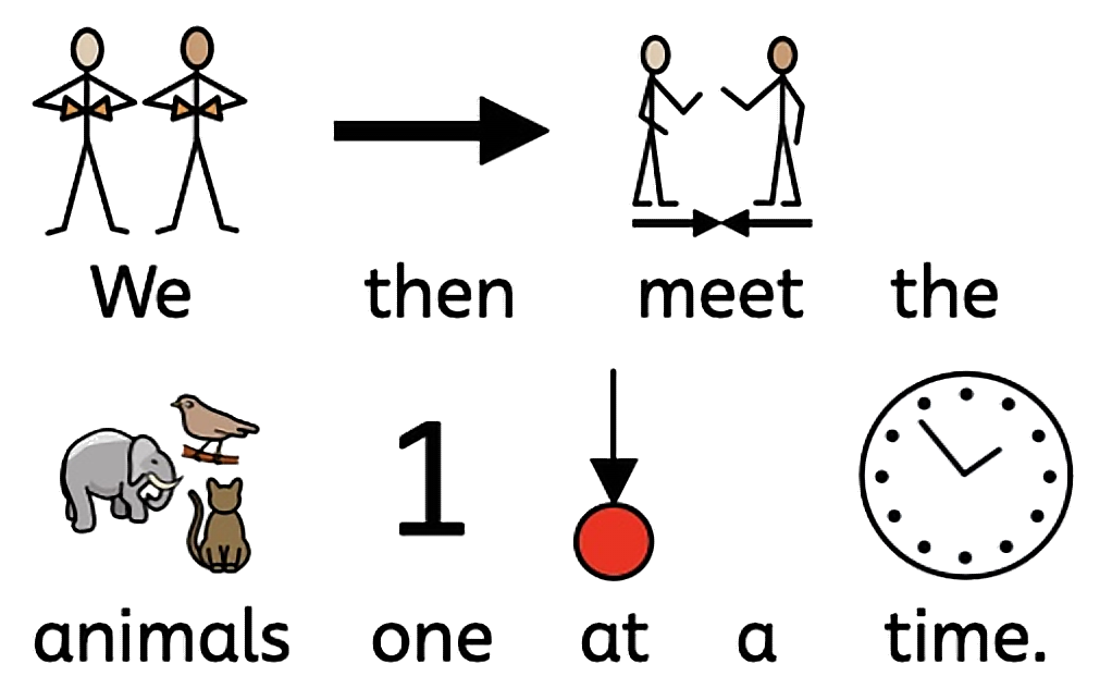 We then meet the animals one at a time.