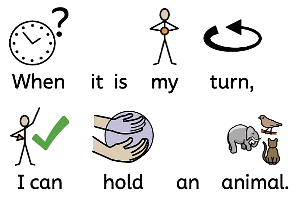 When it is my turn, I can hold an animal.
