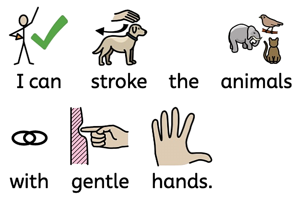 I can stroke the animals with gentle hands.