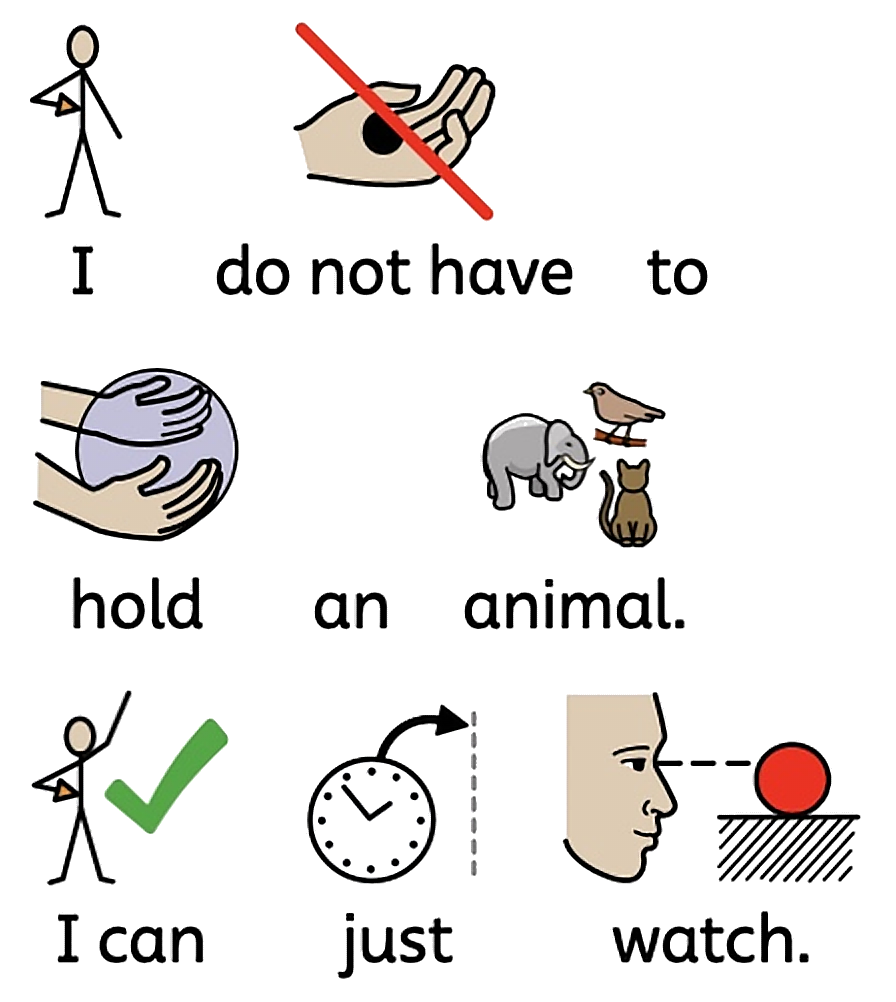I do not have to hold an animal. I can just watch.
