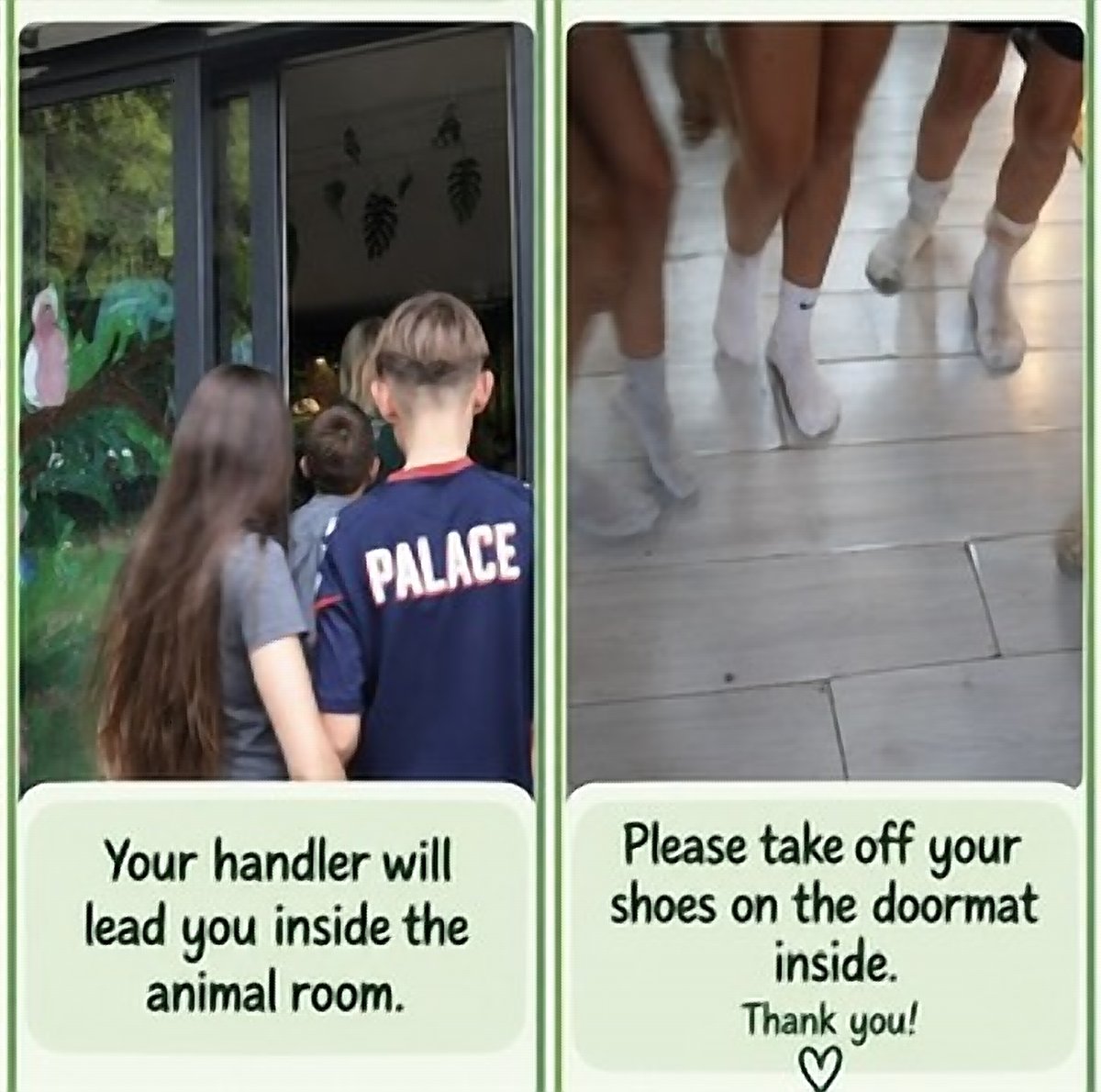 Your handler will lead you inside the animal room. Please take off your shoes on the doormat inside. Thank you!