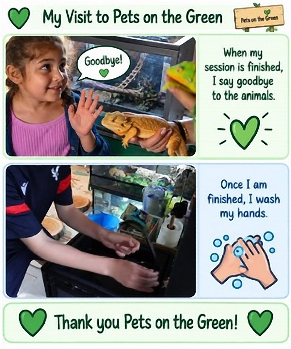 My visit to Pets on the Green. When my session is finished, I say goodbye to the animals. Once I am finished, I wash my hands. Thank you Pets on the Green!